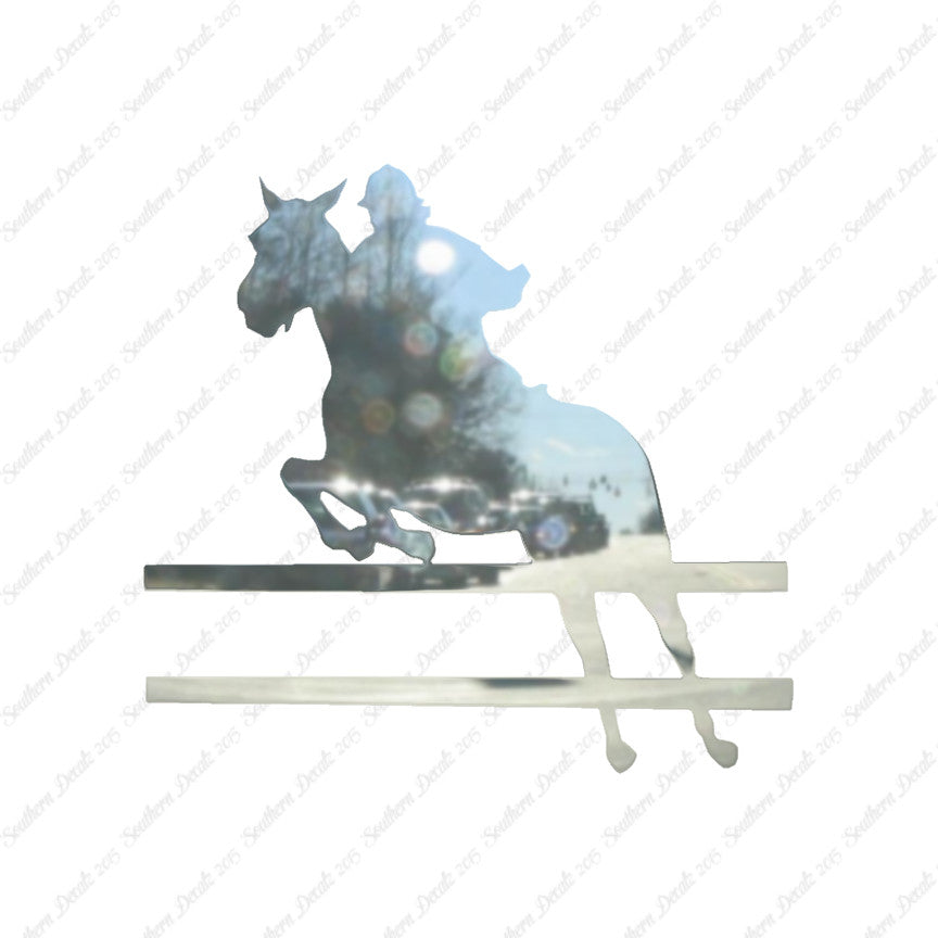 Show Horse Jumping
