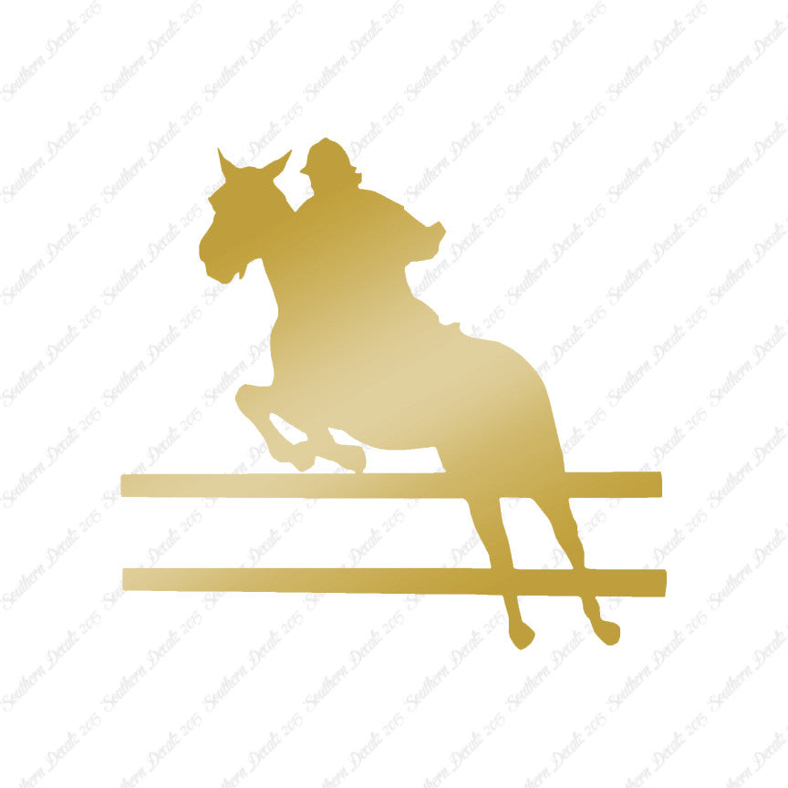 Show Horse Jumping