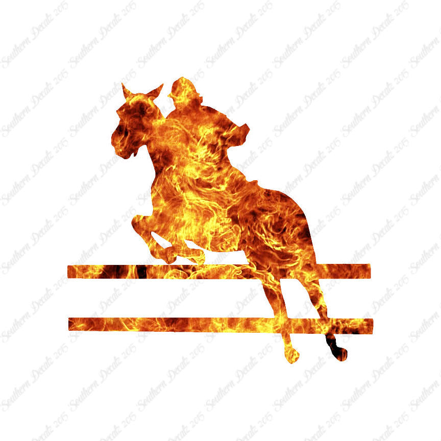 Show Horse Jumping