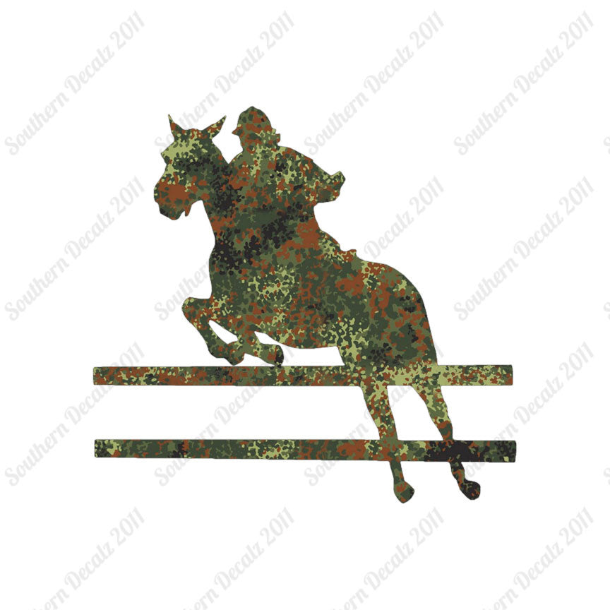 Show Horse Jumping
