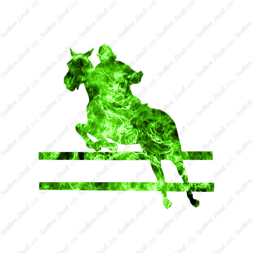 Show Horse Jumping