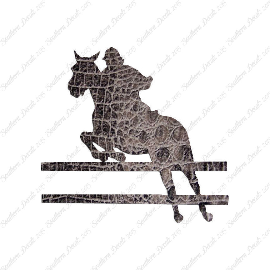 Show Horse Jumping