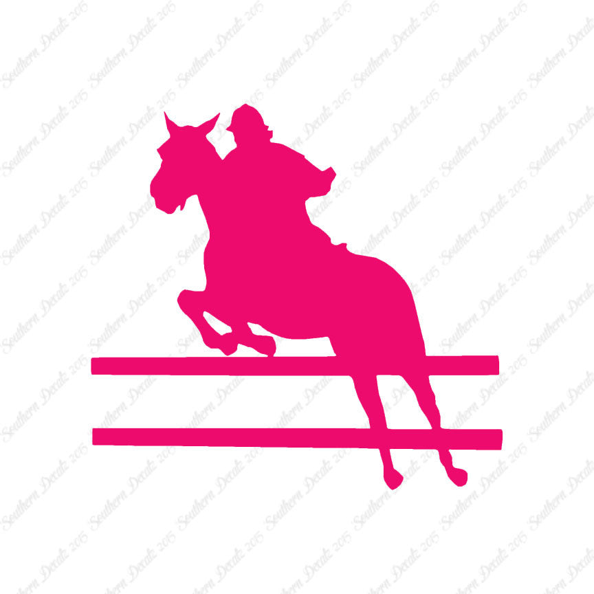 Show Horse Jumping