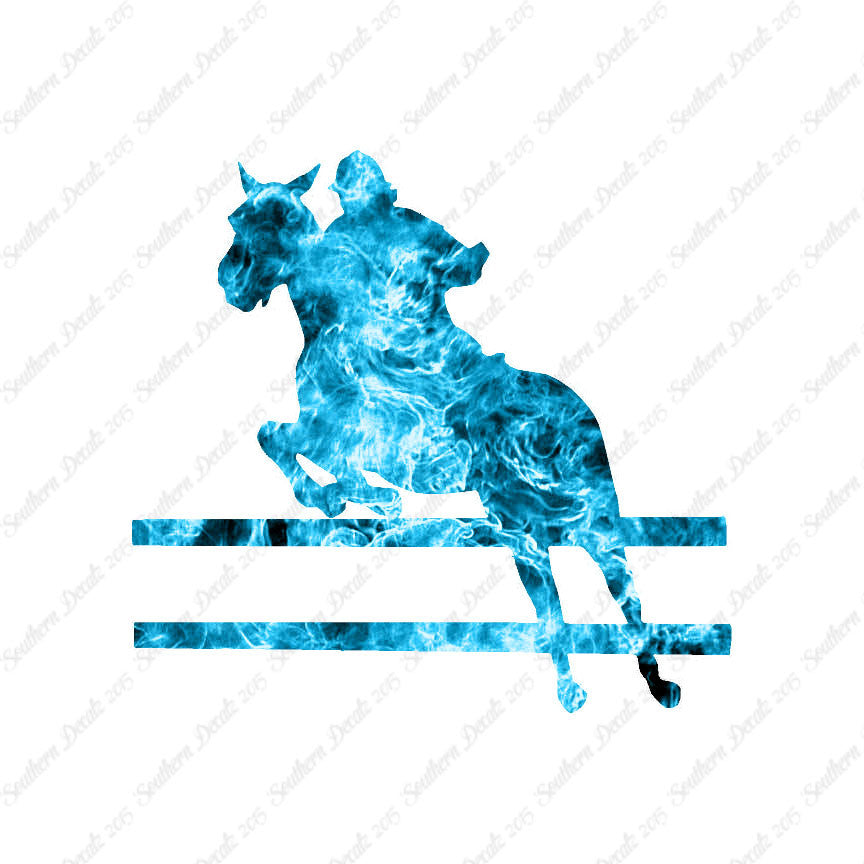 Show Horse Jumping