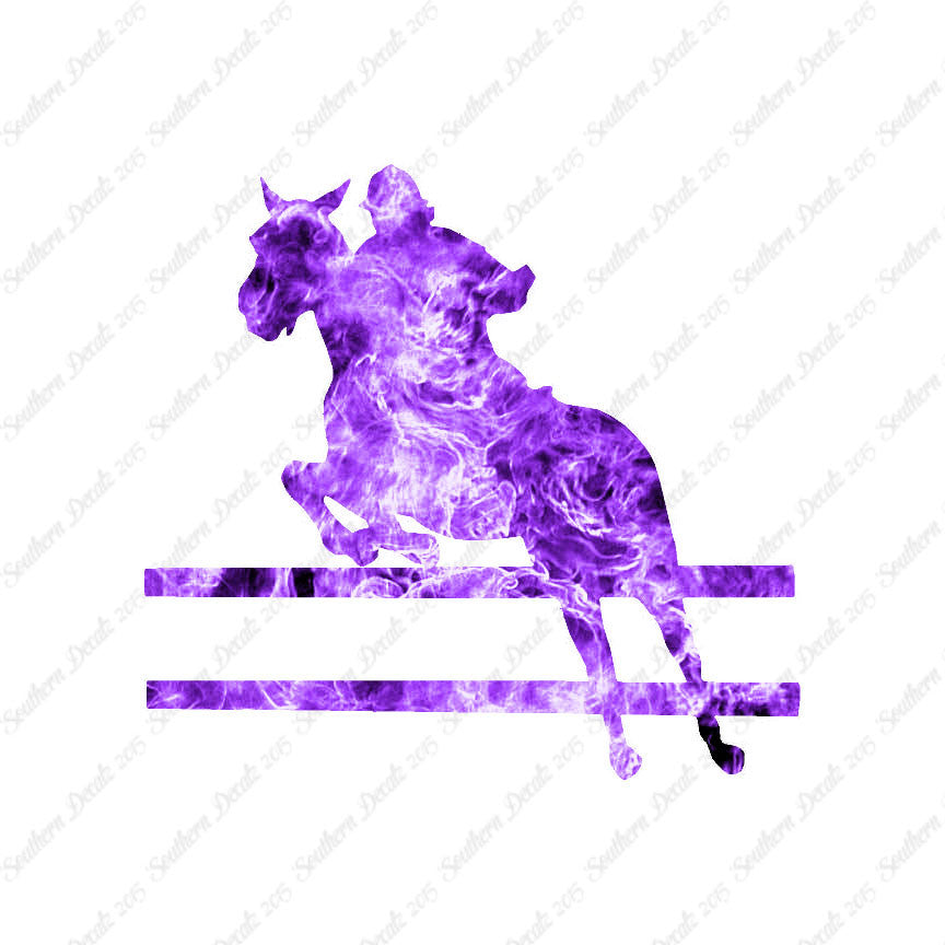 Show Horse Jumping