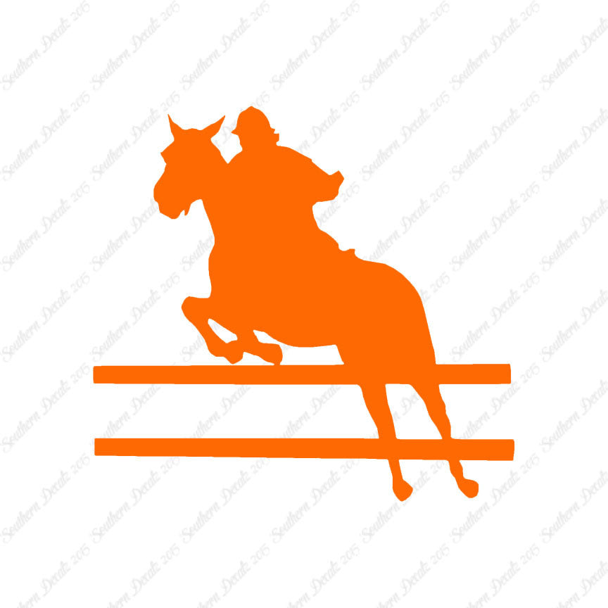 Show Horse Jumping