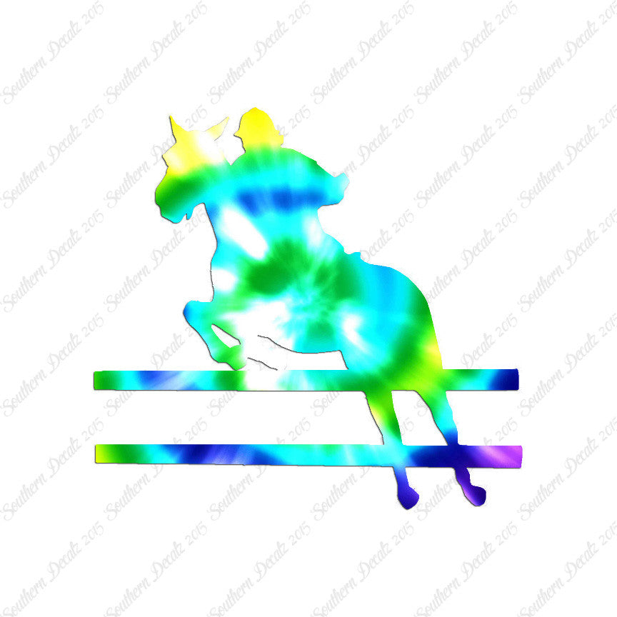 Show Horse Jumping