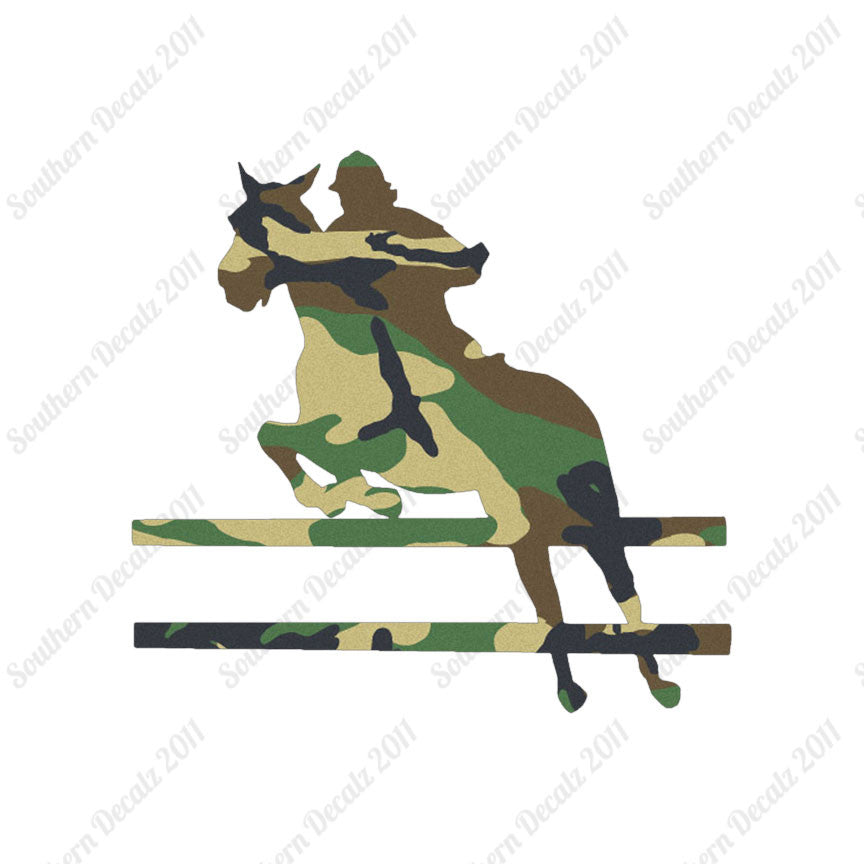 Show Horse Jumping