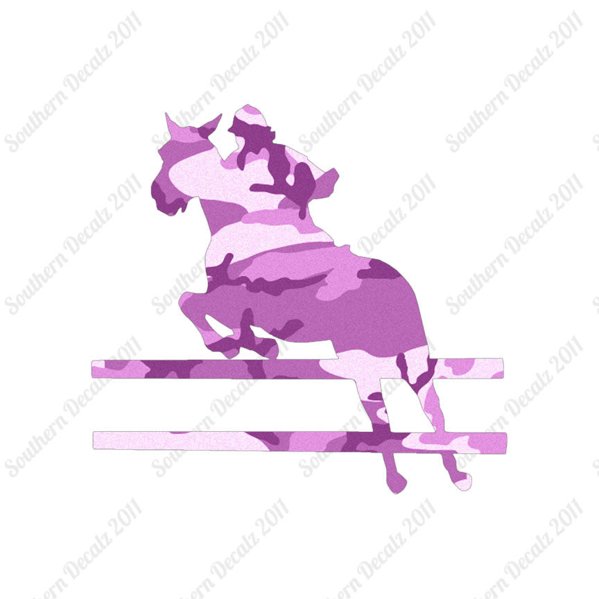 Show Horse Jumping