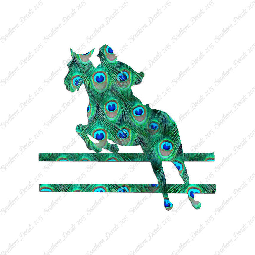 Show Horse Jumping
