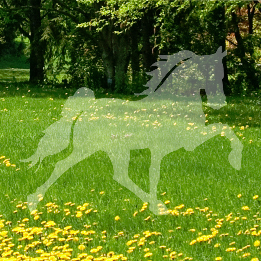 Trotting Horse