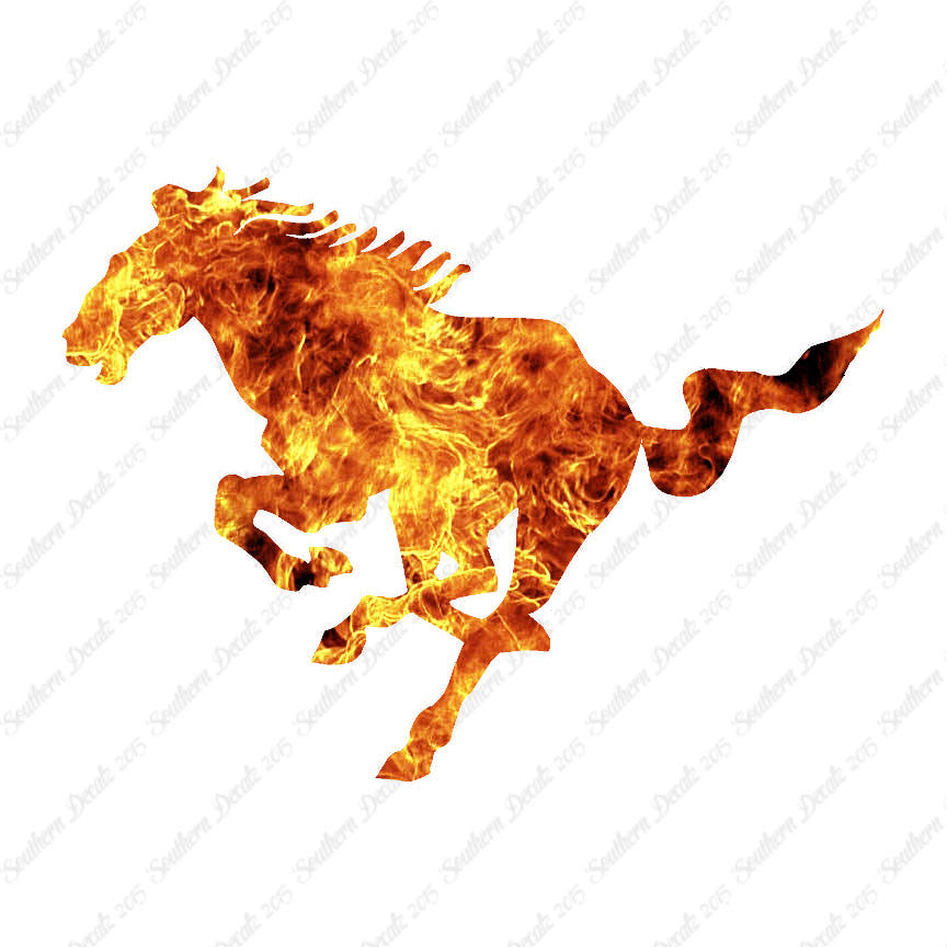 Running Horse Galloping
