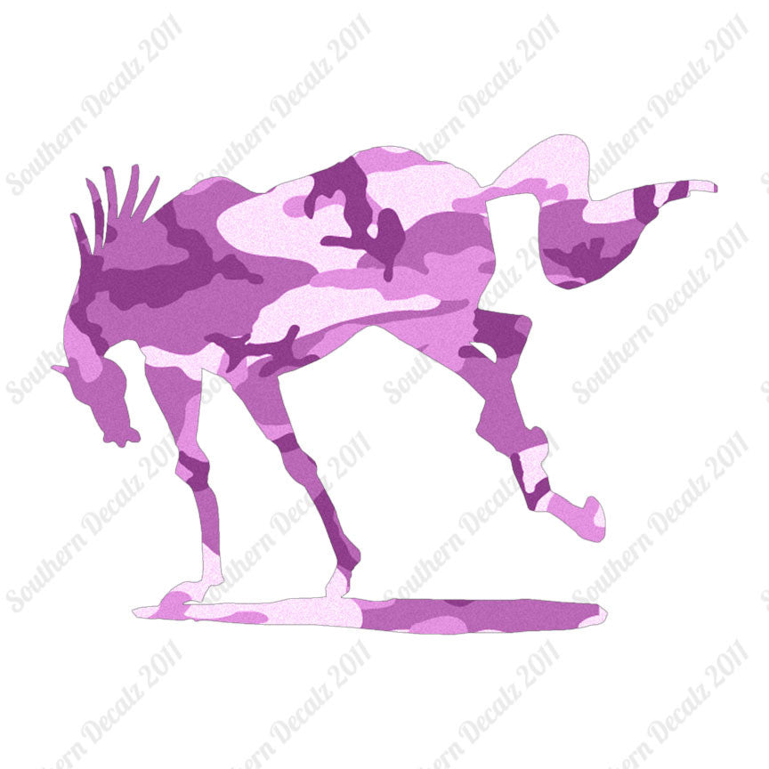 Rearing Horse Stallion