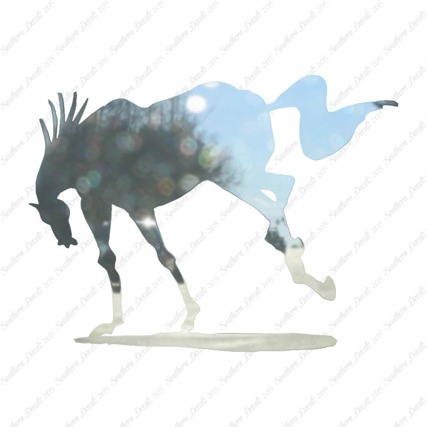 Rearing Horse Stallion