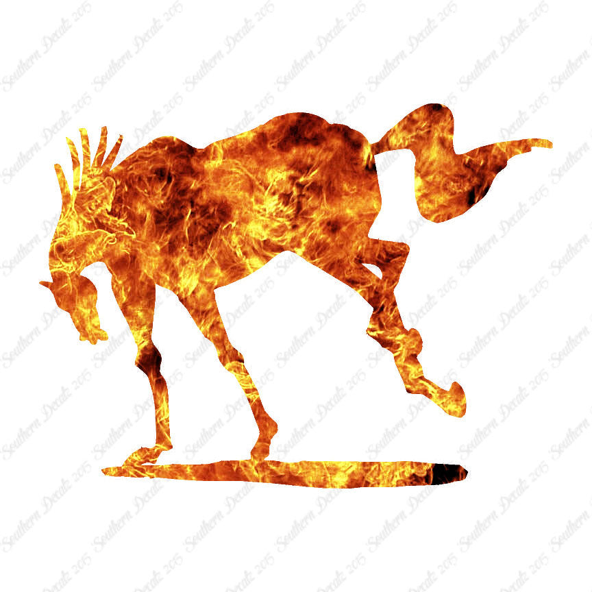 Rearing Horse Stallion
