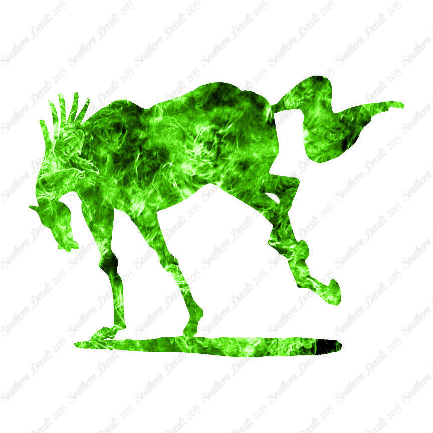 Rearing Horse Stallion