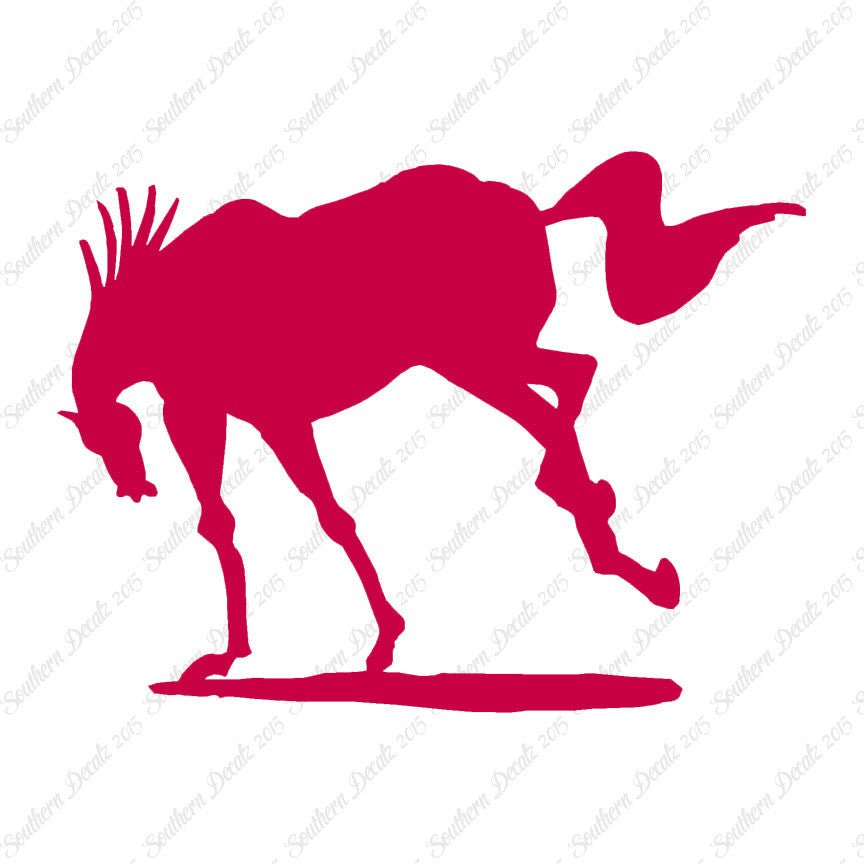 Rearing Horse Stallion