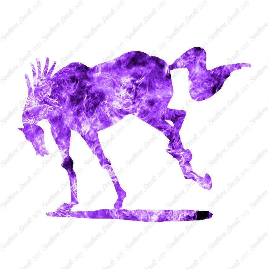 Rearing Horse Stallion
