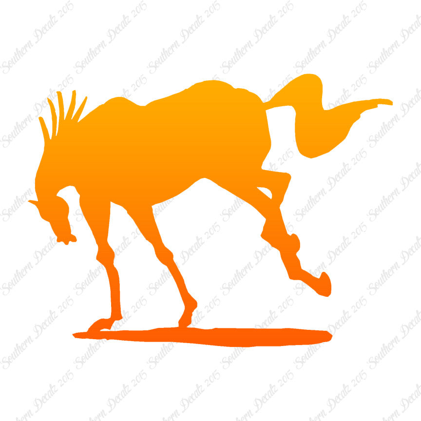 Rearing Horse Stallion