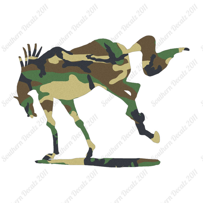 Rearing Horse Stallion