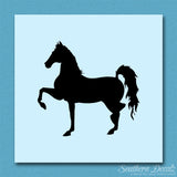 Trotting Horse Stallion