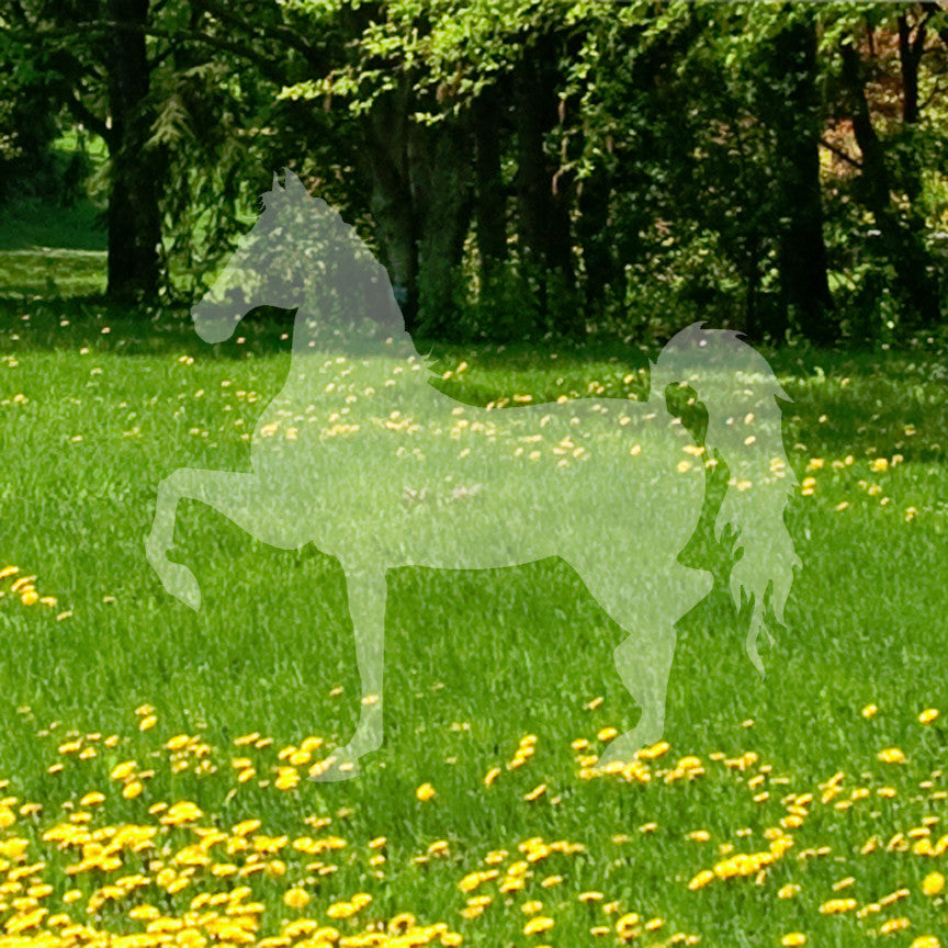 Trotting Horse Stallion