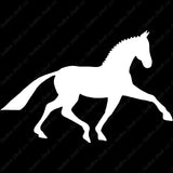 Horse Running Galloping Mustang