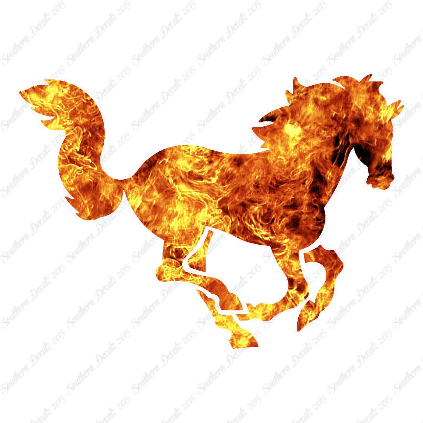 Horse Galloping Mustang Stallion