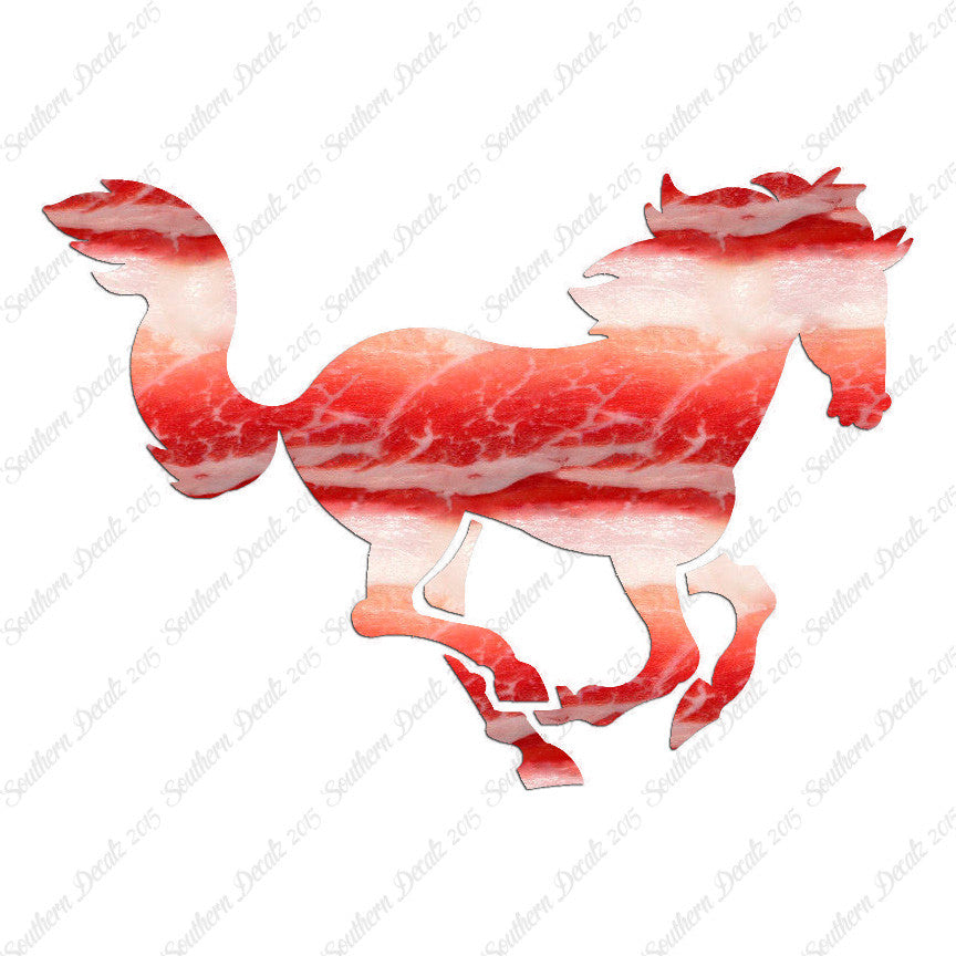 Horse Galloping Mustang Stallion