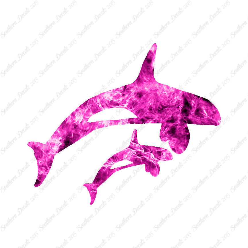 Killer Whale Orca