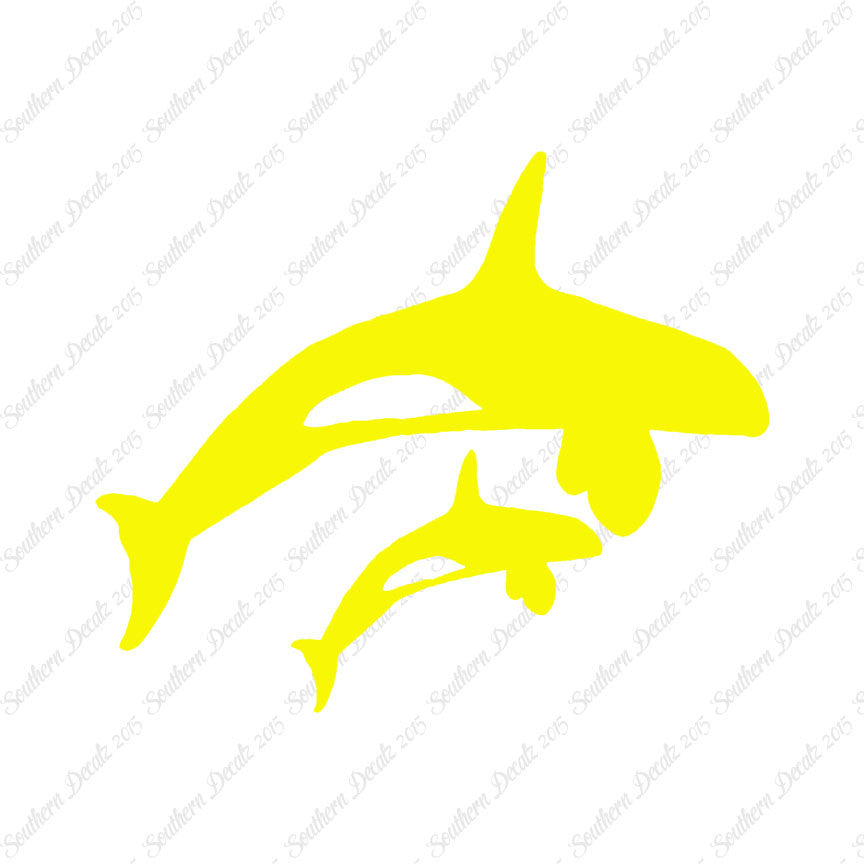 Killer Whale Orca