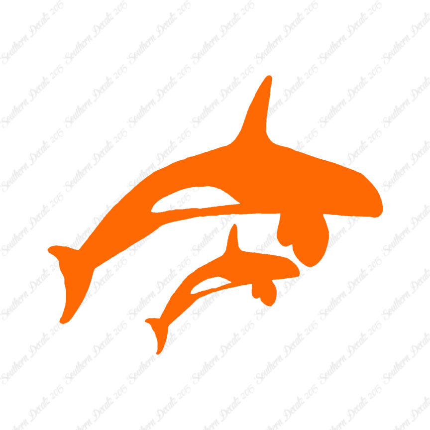 Killer Whale Orca