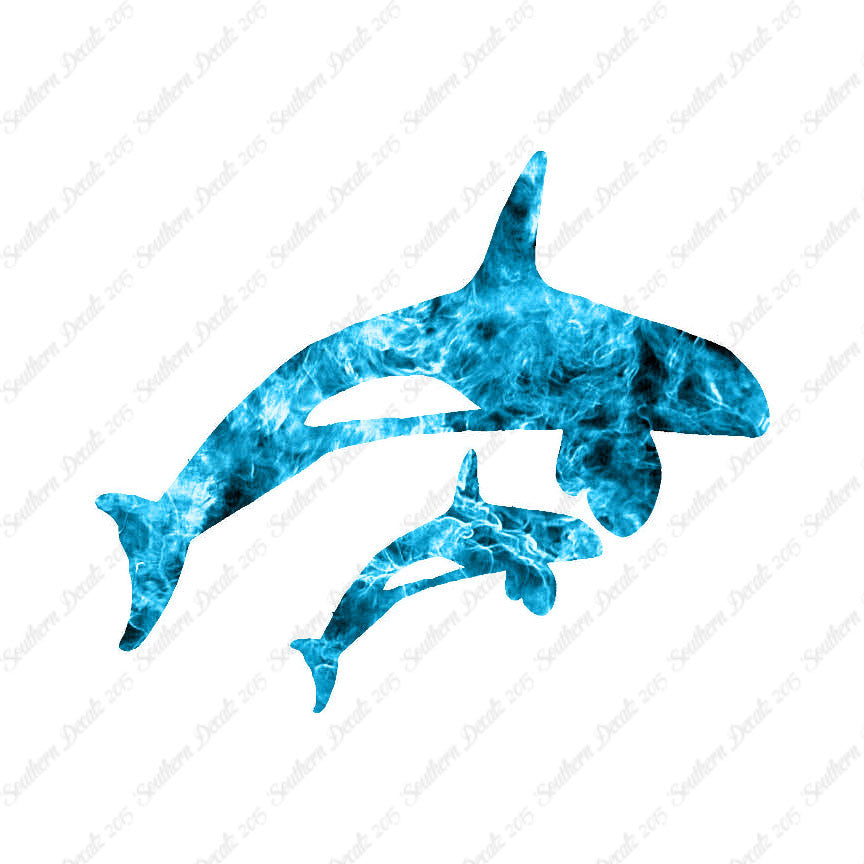 Killer Whale Orca