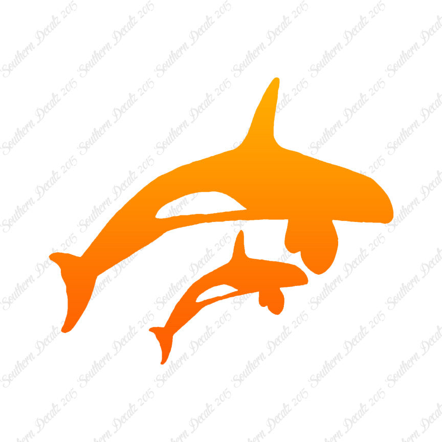 Killer Whale Orca