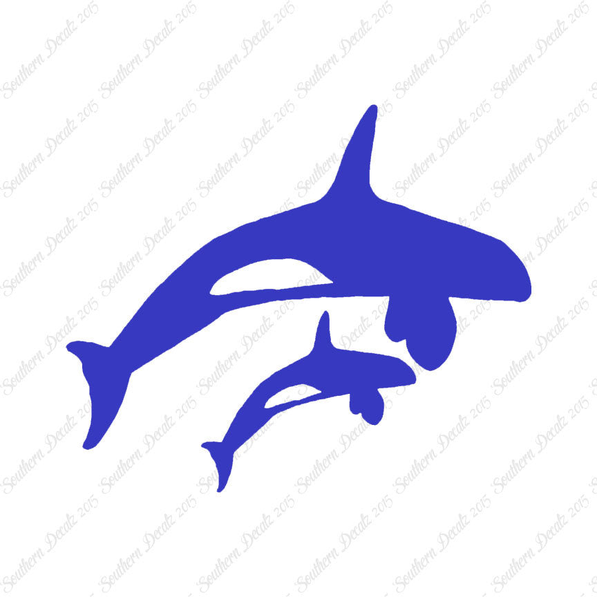 Killer Whale Orca