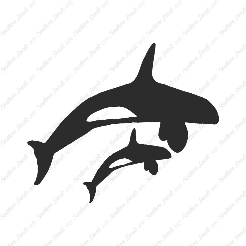 Killer Whale Orca