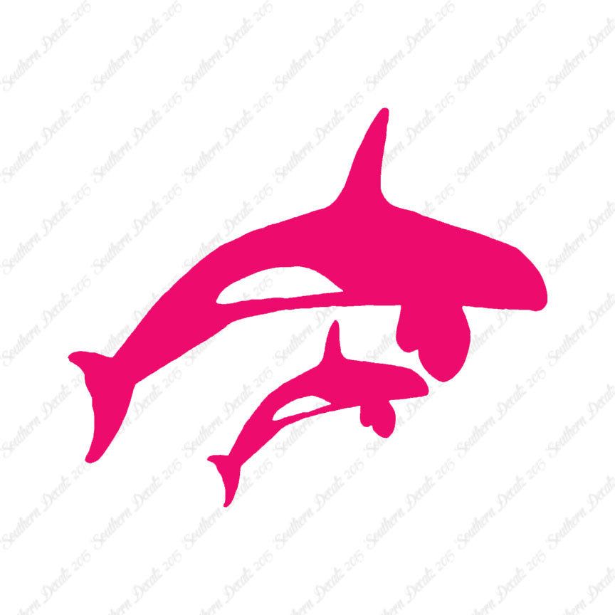 Killer Whale Orca