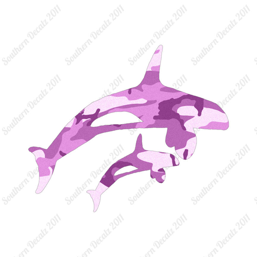 Killer Whale Orca