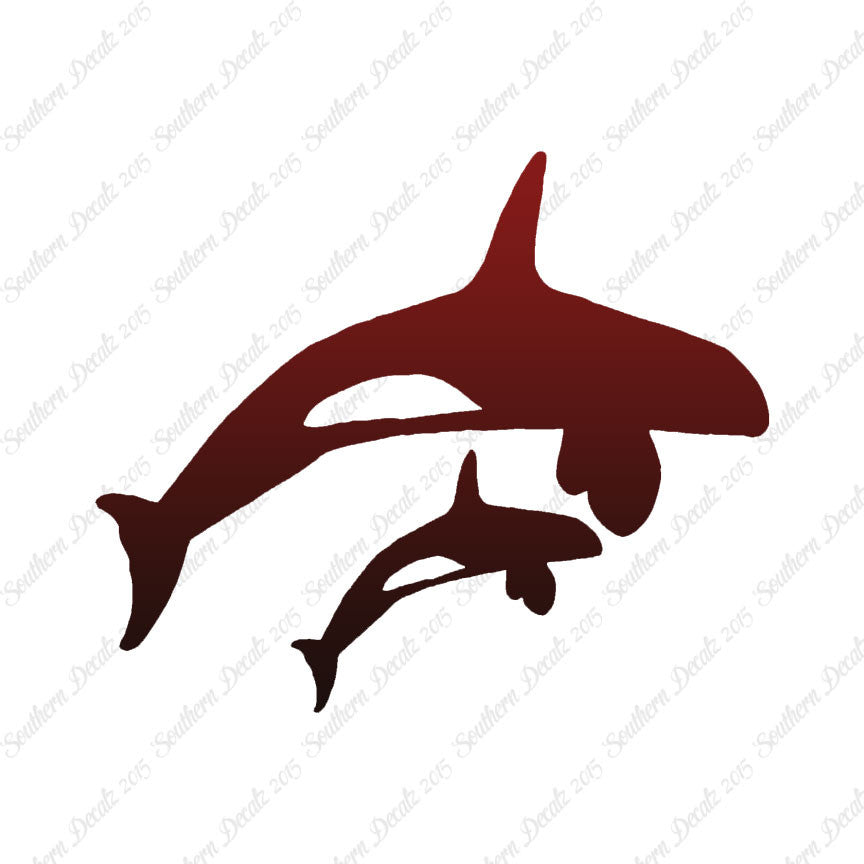 Killer Whale Orca