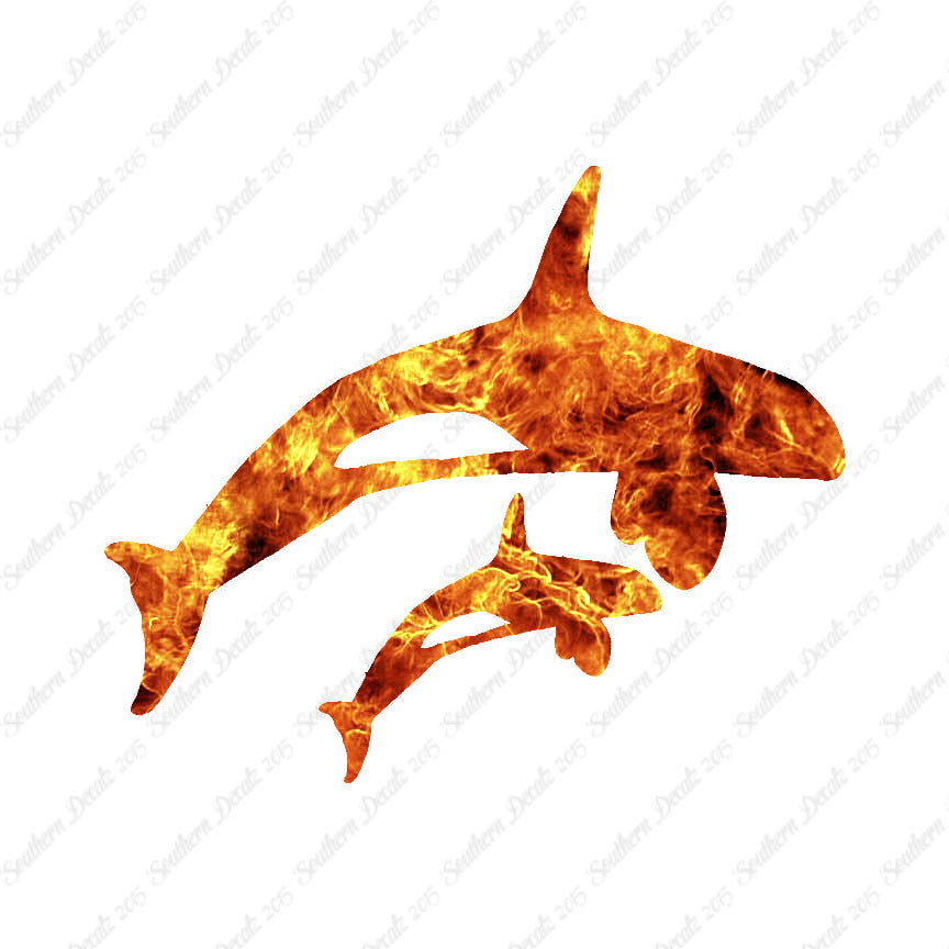 Killer Whale Orca