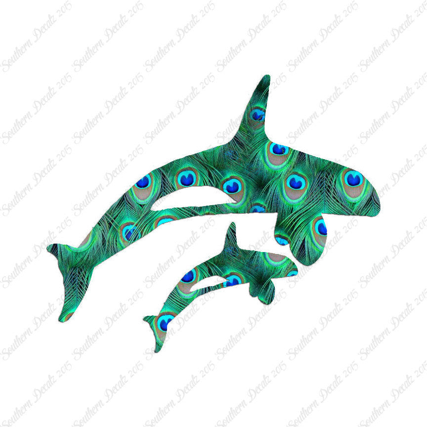 Killer Whale Orca