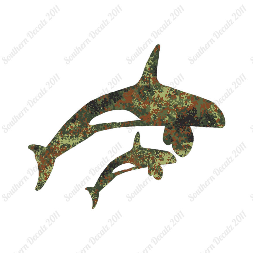 Killer Whale Orca