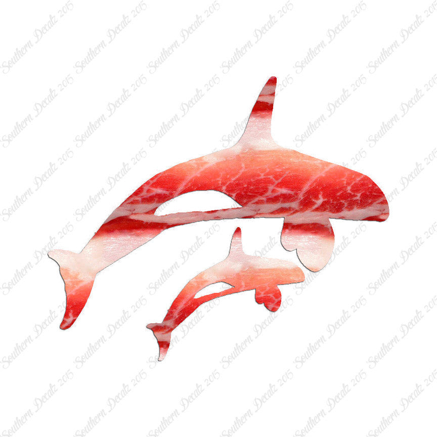 Killer Whale Orca