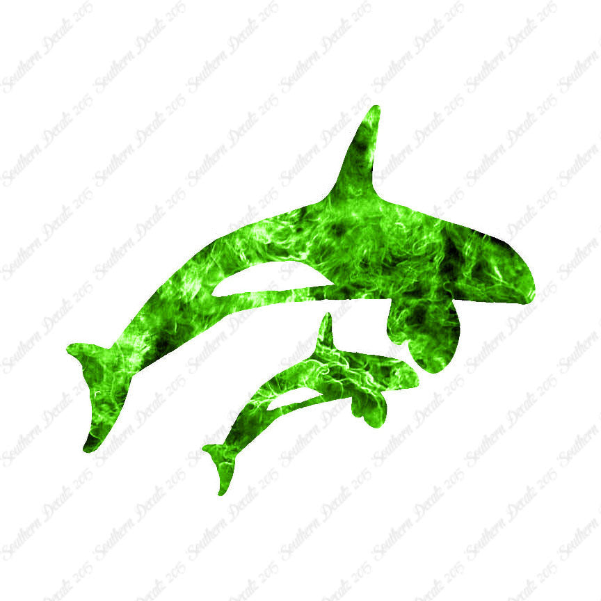Killer Whale Orca