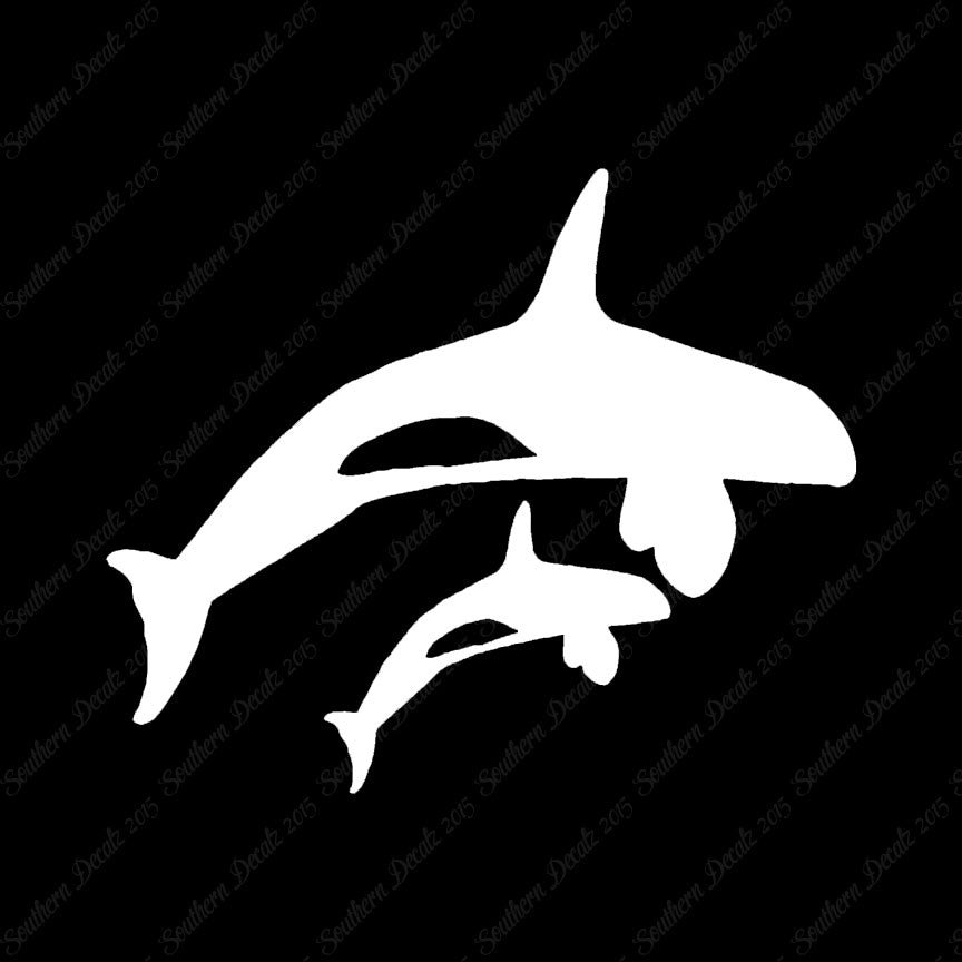 Killer Whale Orca