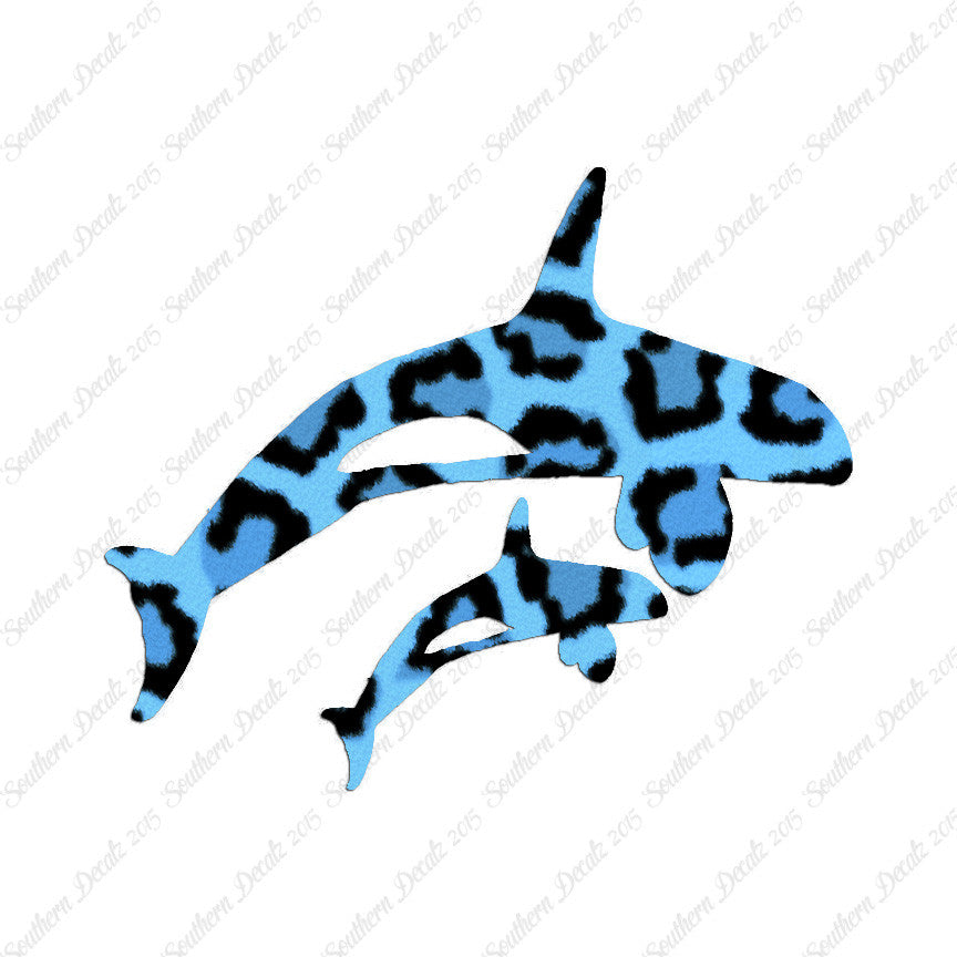 Killer Whale Orca