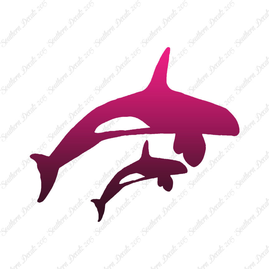 Killer Whale Orca