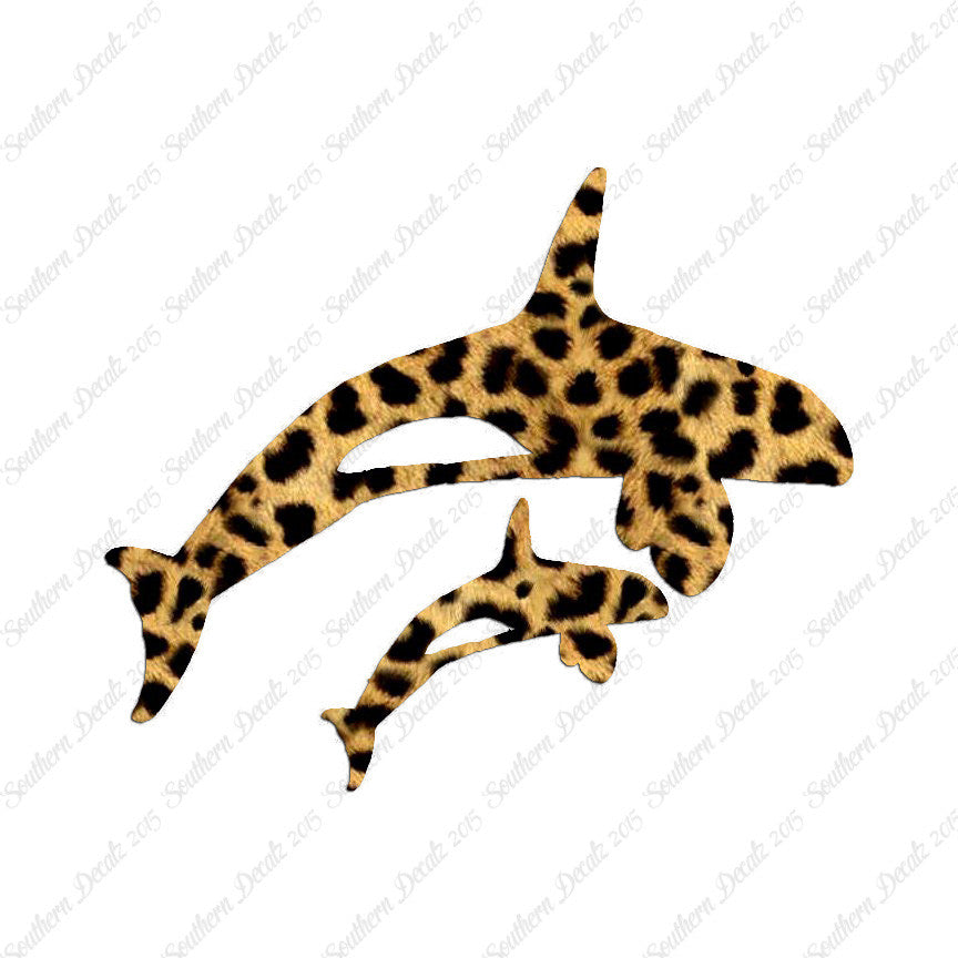 Killer Whale Orca