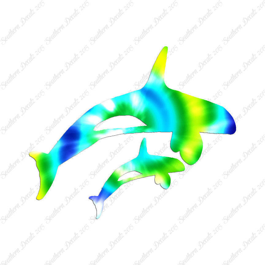 Killer Whale Orca