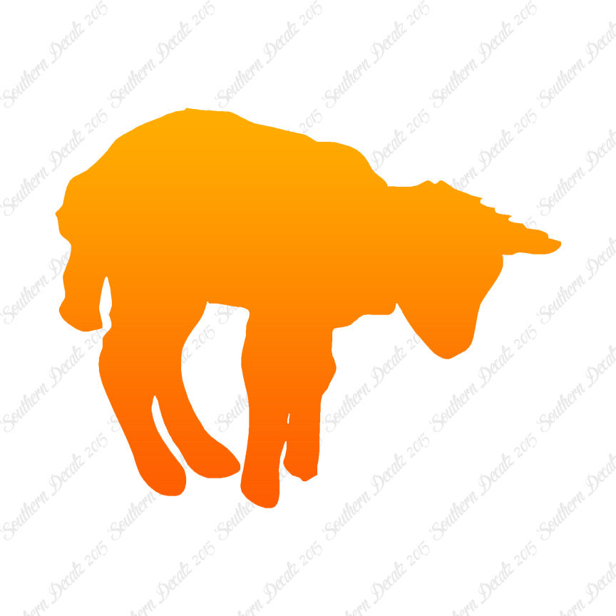 Lamb Sheep